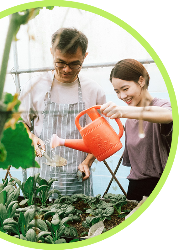 Community members working together in an urban garden