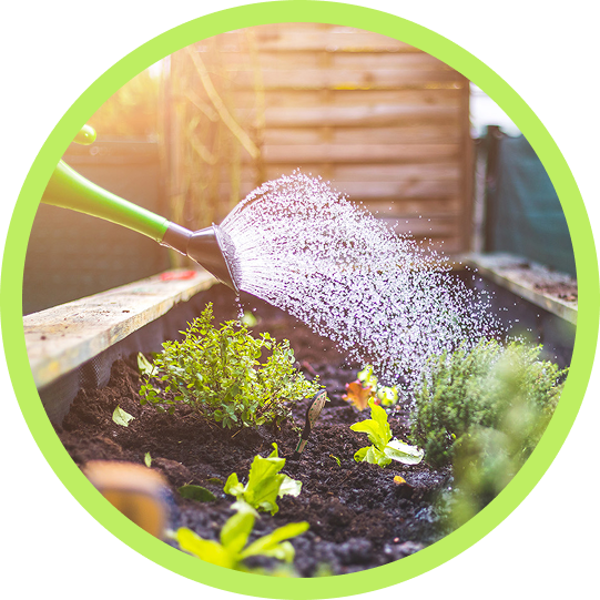 People gardening in a lush urban garden