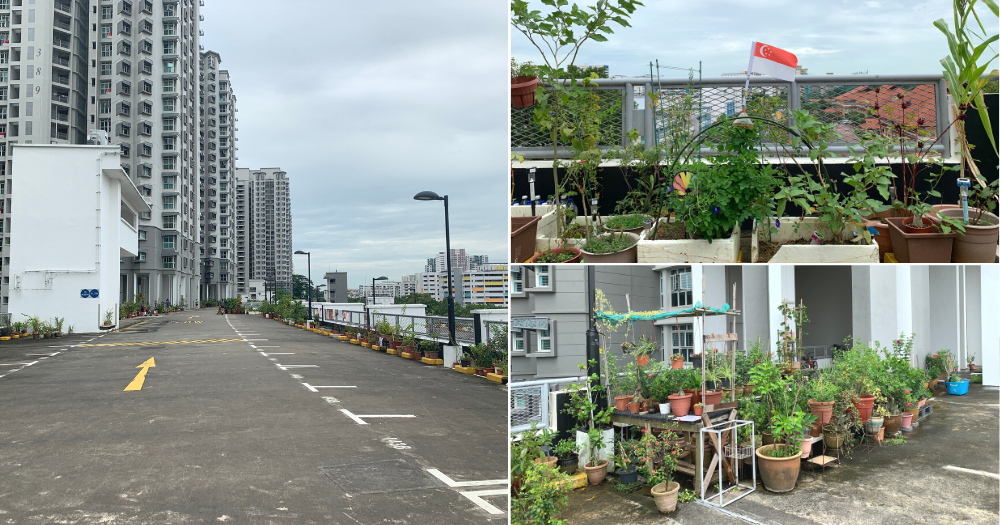Bukit Batok residents successfully convinced authorities to keep 17-year car park rooftop garden with over 2,000 potted plants