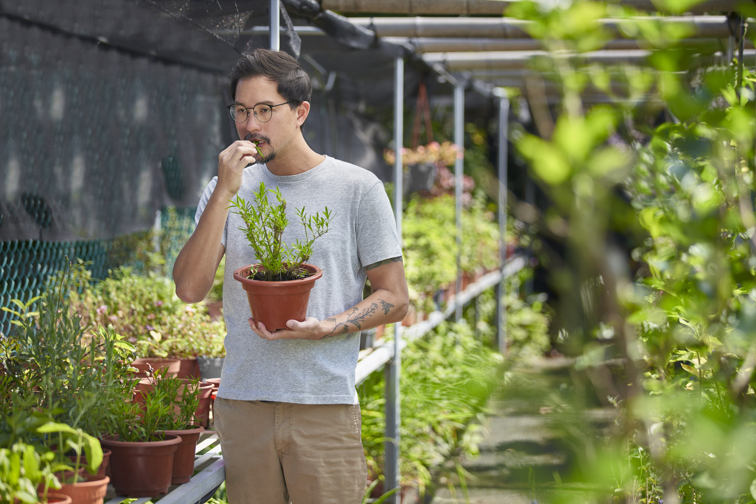 Meet the local farmers growing vegetables in underused spaces to feed S’pore sustainably