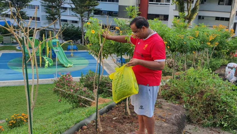 How a single hibiscus for Ganesh Kumar’s late mother transformed into a nine-storey community garden