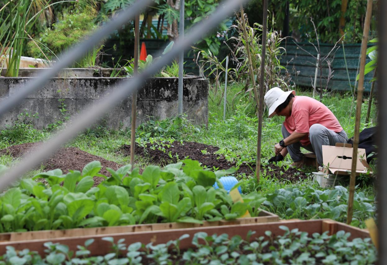 Back to the kampung days, 21st-century style