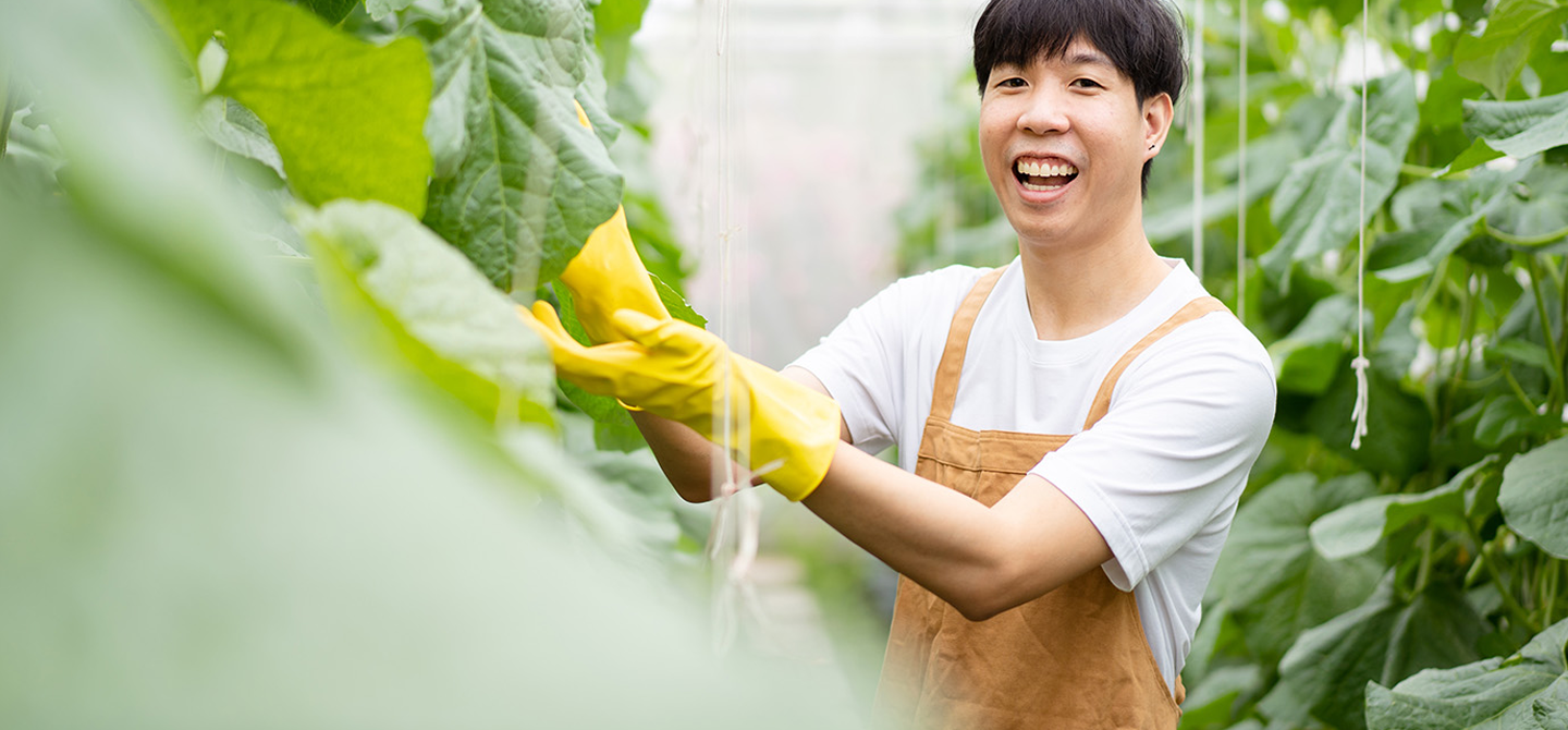 Volunteers working in a lush community garden